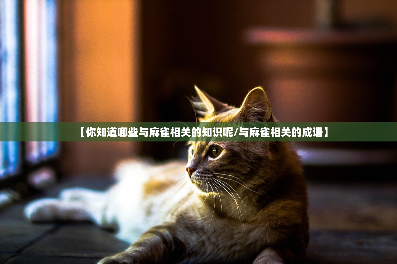 【你知道哪些与麻雀相关的知识呢/与麻雀相关的成语】 【你知道哪些与麻雀相关的知识呢/与麻雀相关的成语】
