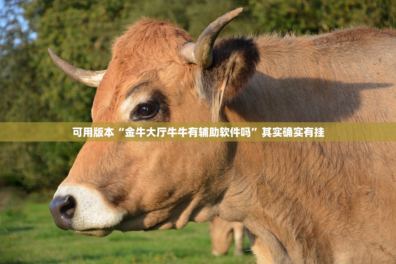 可用版本“金牛大厅牛牛有辅助软件吗”其实确实有挂