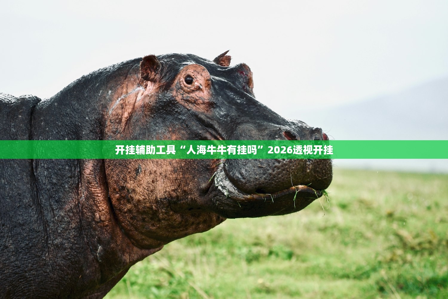 开挂辅助工具“人海牛牛有挂吗”2026透视开挂