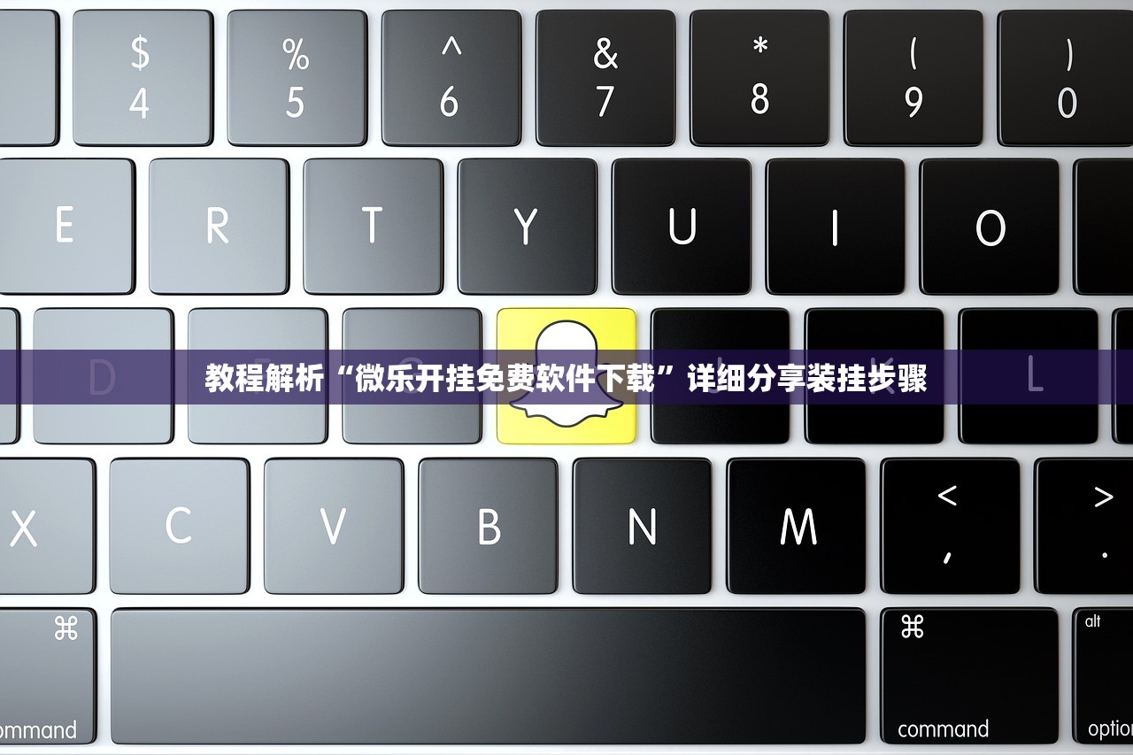 教程解析“微乐开挂免费软件下载”详细分享装挂步骤