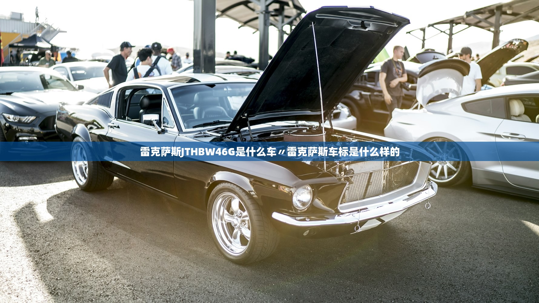雷克萨斯JTHBW46G是什么车〃雷克萨斯车标是什么样的