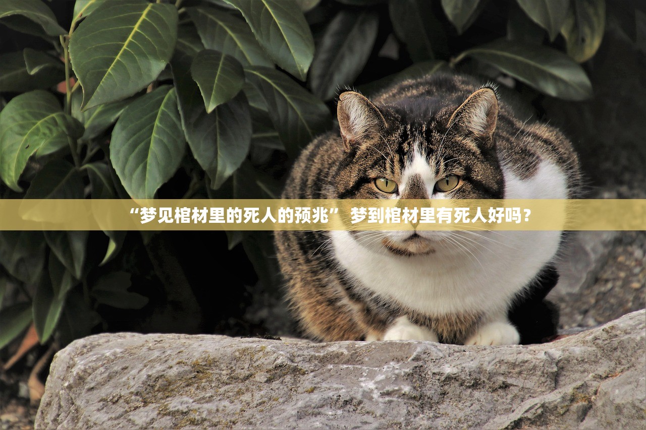 “梦见棺材里的死人的预兆” 梦到棺材里有死人好吗？