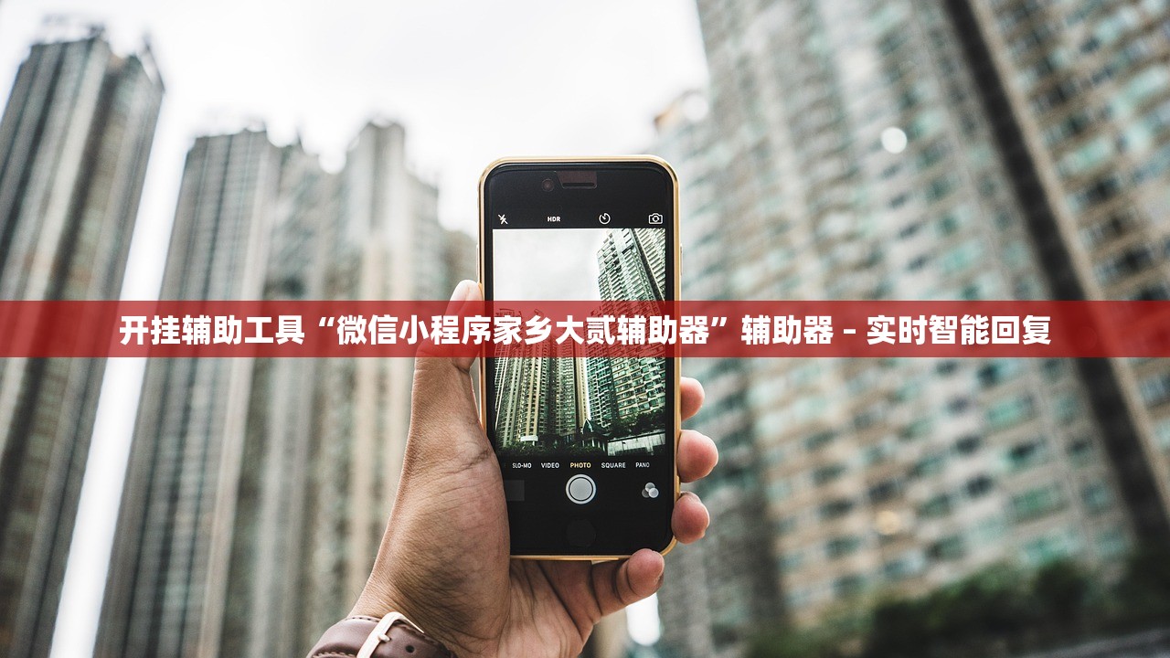开挂辅助工具“微信小程序家乡大贰辅助器”辅助器 – 实时智能回复