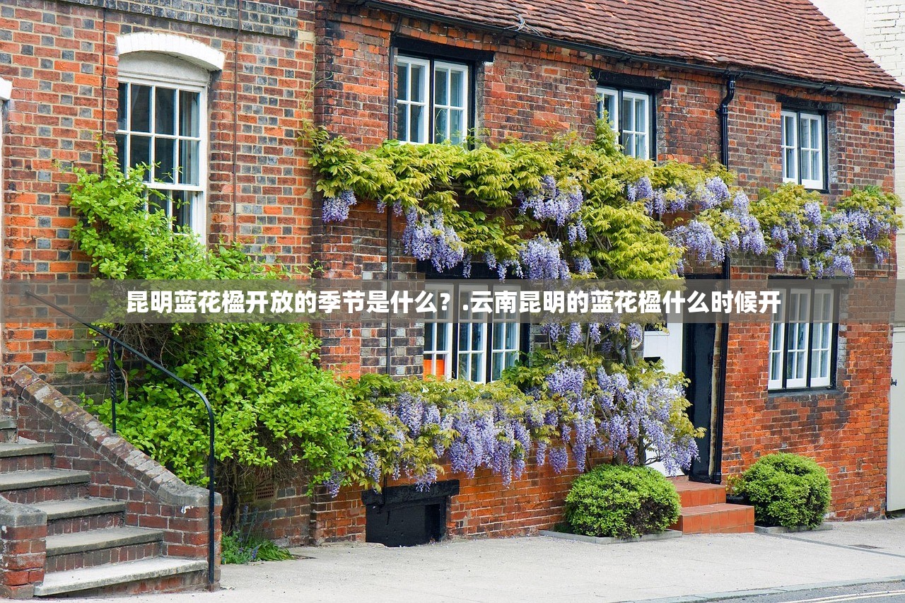 昆明蓝花楹开放的季节是什么?.云南昆明的蓝花楹什么时候开 昆明蓝花楹开放的季节是什么?.云南昆明的蓝花楹什么时候开