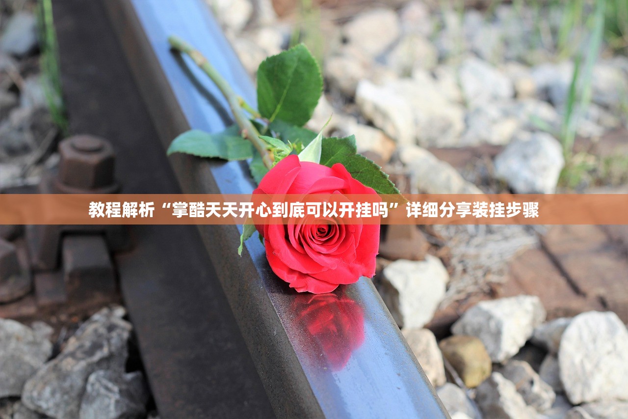 教程解析“掌酷天天开心到底可以开挂吗”详细分享装挂步骤