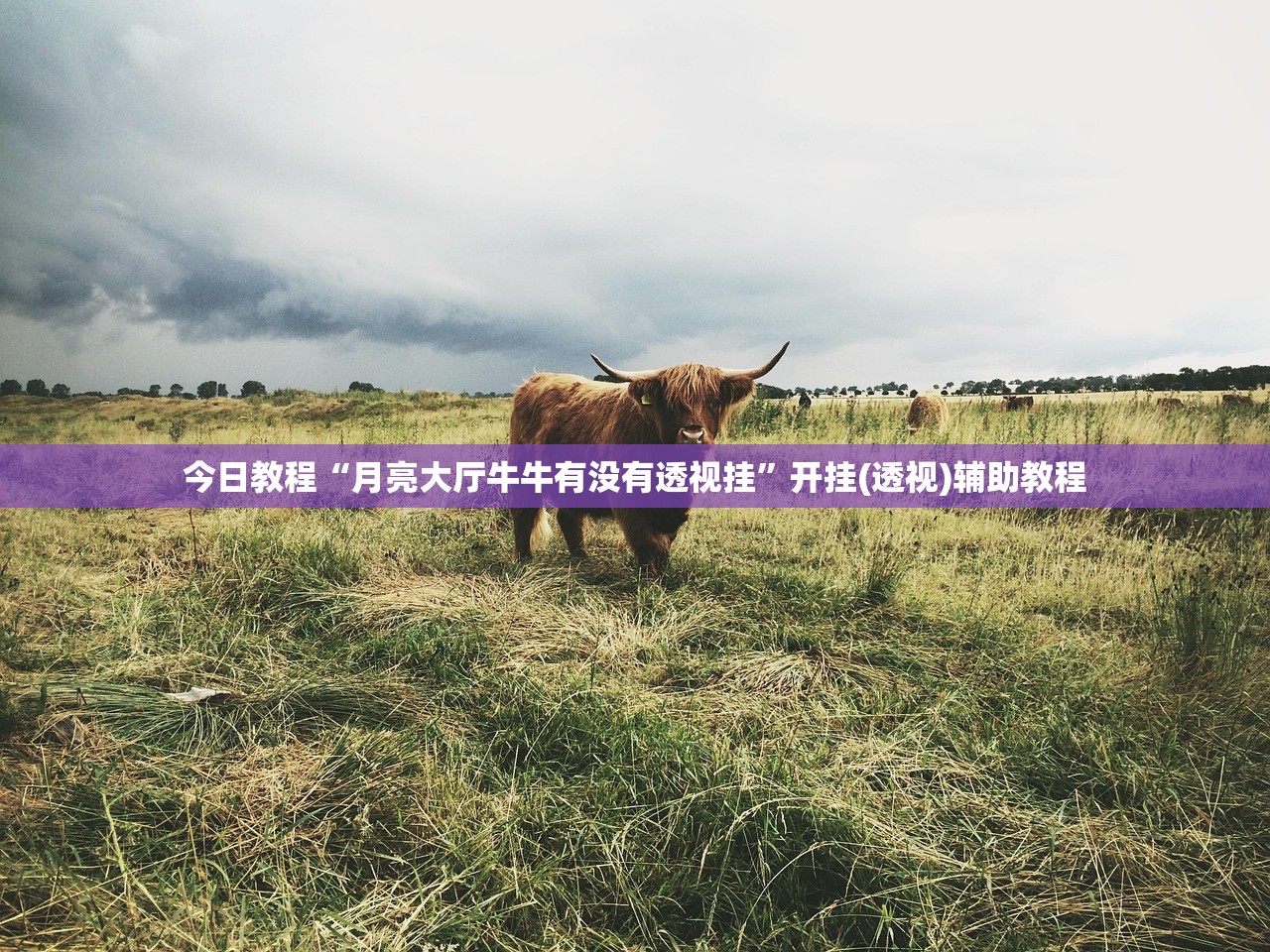 今日教程“月亮大厅牛牛有没有透视挂	”开挂(透视)辅助教程