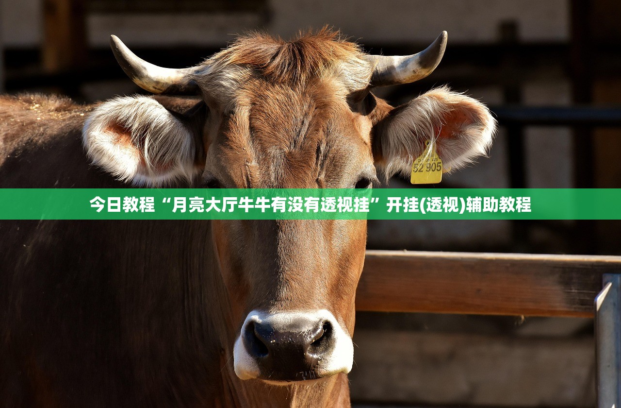 今日教程“月亮大厅牛牛有没有透视挂”开挂(透视)辅助教程