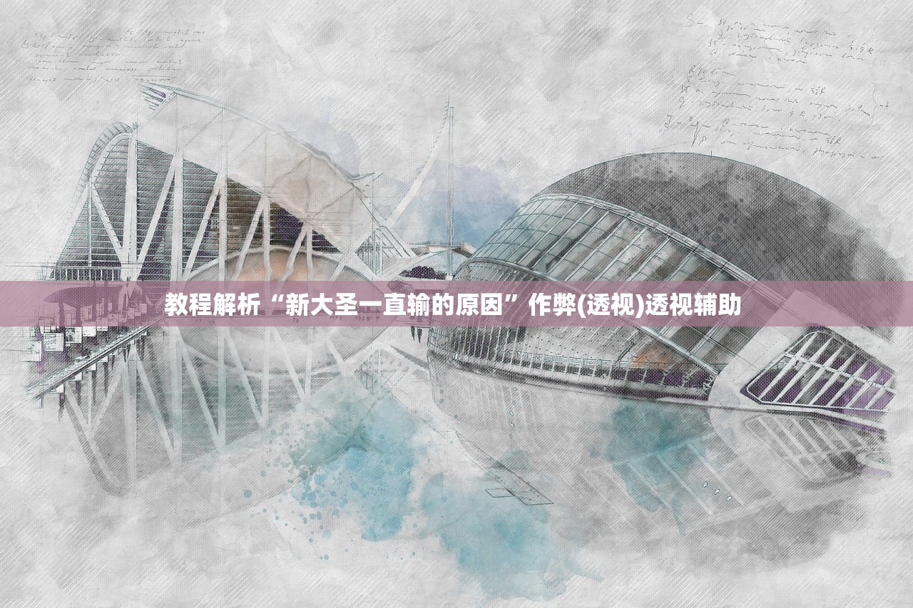 教程解析“新大圣一直输的原因	”作弊(透视)透视辅助 