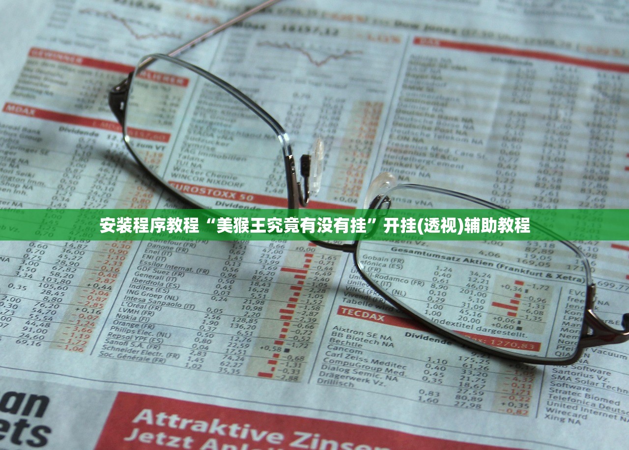 安装程序教程“美猴王究竟有没有挂	”开挂(透视)辅助教程
