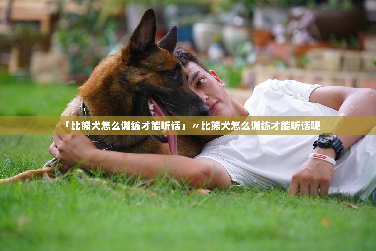 「比熊犬怎么训练才能听话」〃比熊犬怎么训练才能听话呢 「比熊犬怎么训练才能听话」〃比熊犬怎么训练才能听话呢