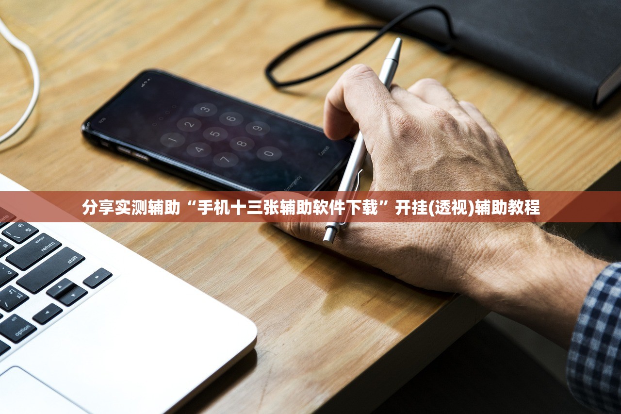 分享实测辅助“手机十三张辅助软件下载	”开挂(透视)辅助教程