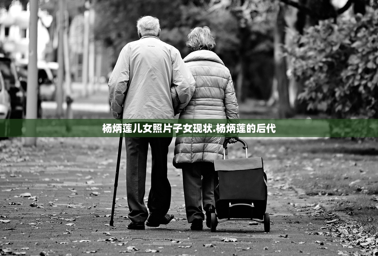 杨炳莲儿女照片子女现状.杨炳莲的后代