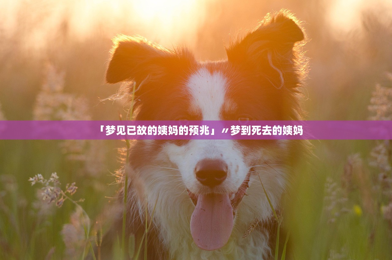 「梦见已故的姨妈的预兆」〃梦到死去的姨妈