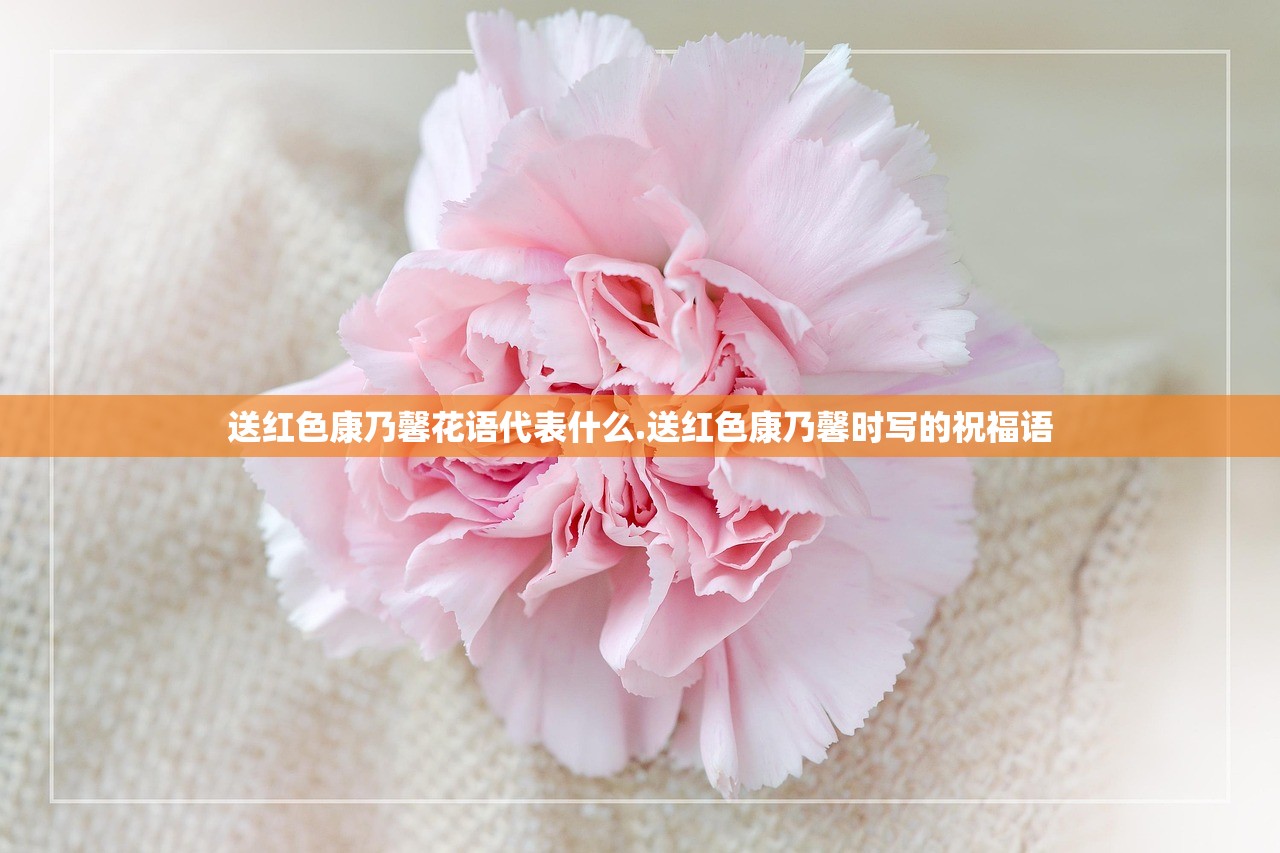 送红色康乃馨花语代表什么.送红色康乃馨时写的祝福语