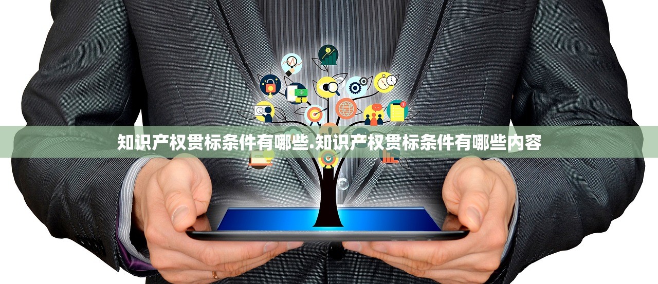 知识产权贯标条件有哪些.知识产权贯标条件有哪些内容