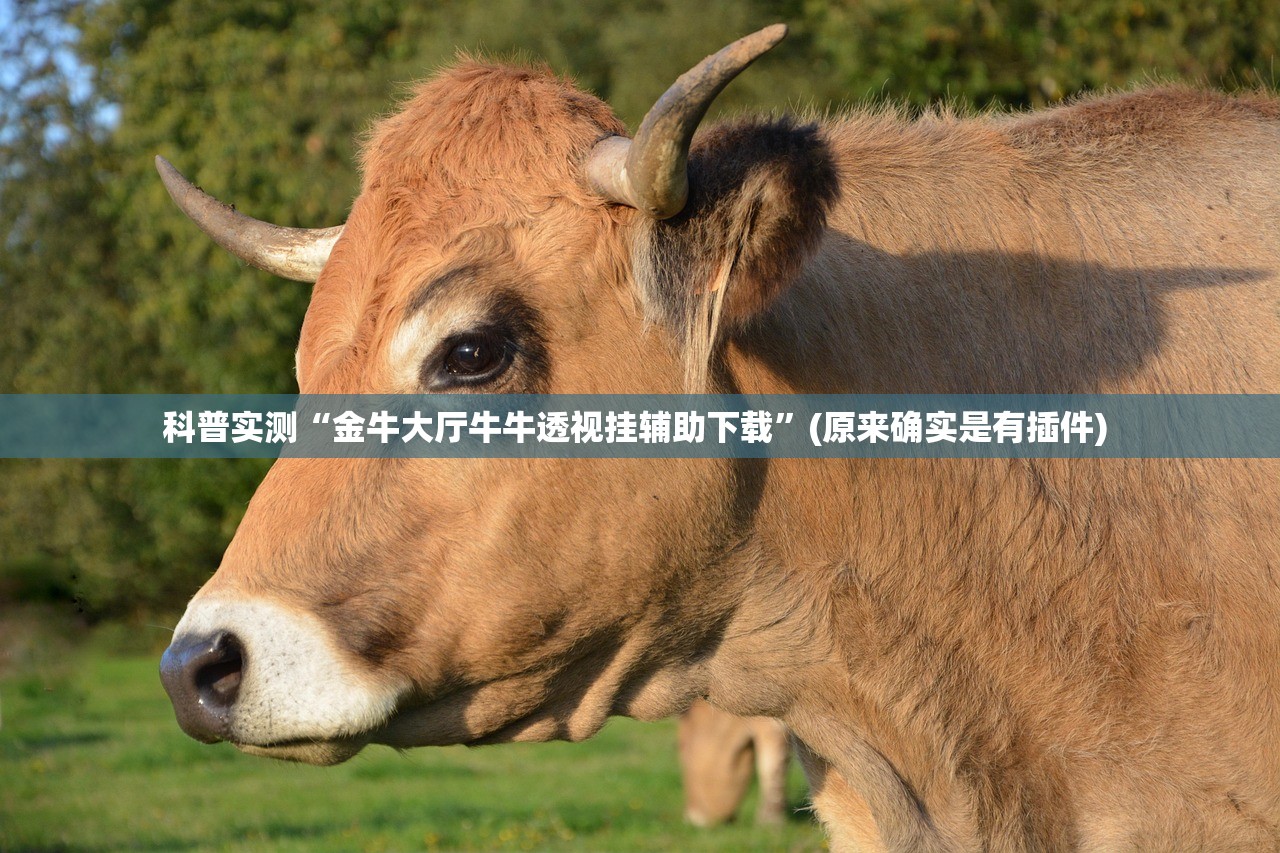 科普实测“金牛大厅牛牛透视挂辅助下载”(原来确实是有插件) 
