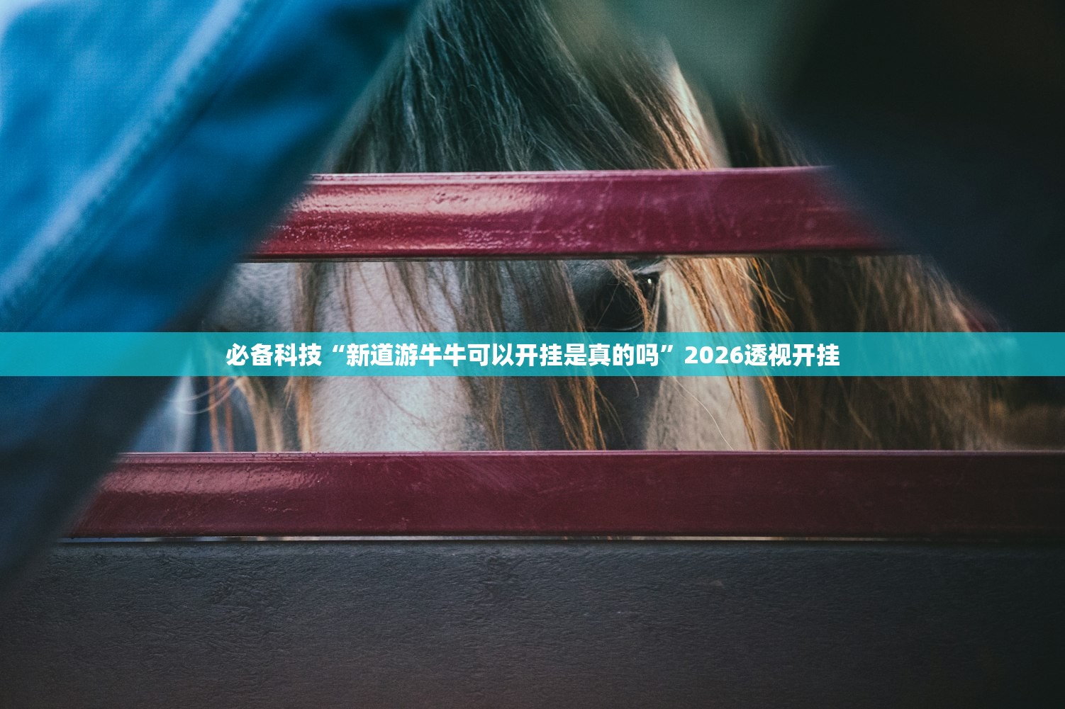 必备科技“新道游牛牛可以开挂是真的吗”2026透视开挂