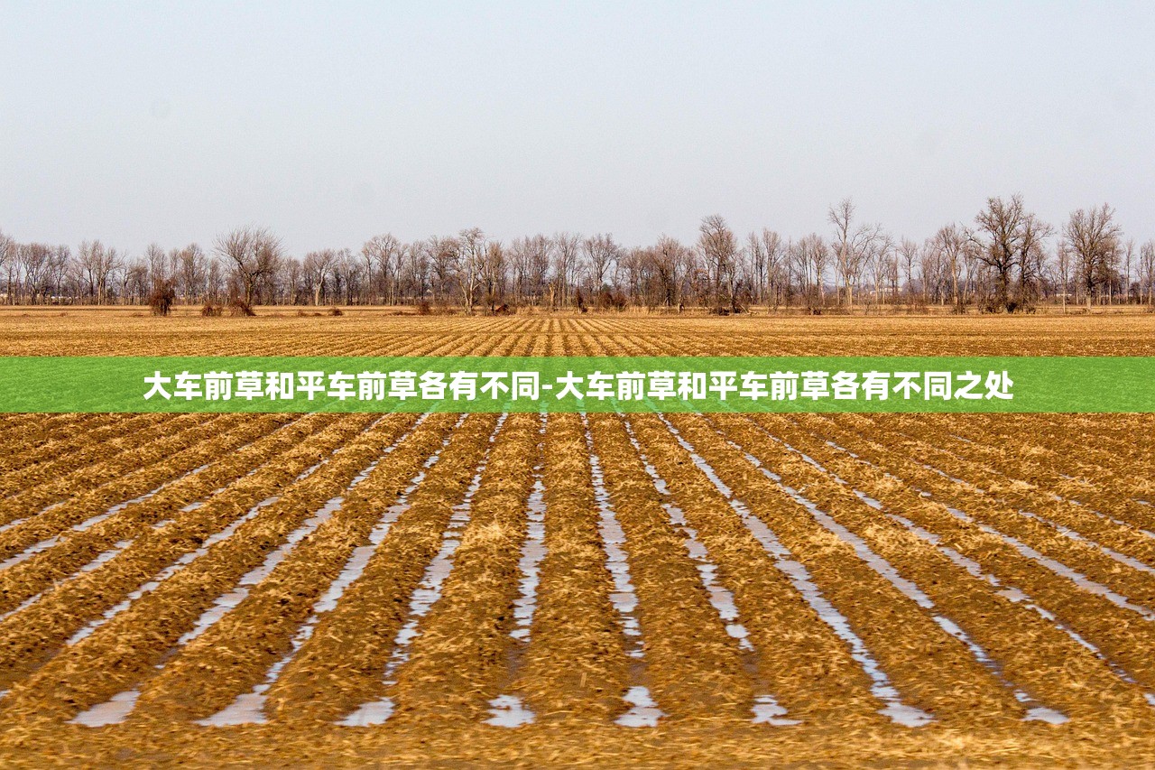 大车前草和平车前草各有不同-大车前草和平车前草各有不同之处