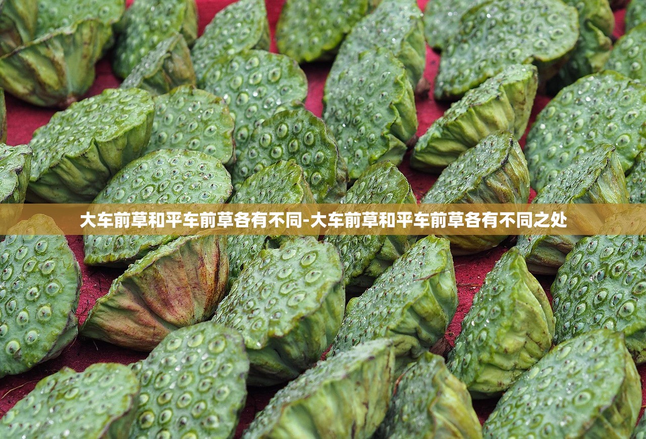 大车前草和平车前草各有不同-大车前草和平车前草各有不同之处