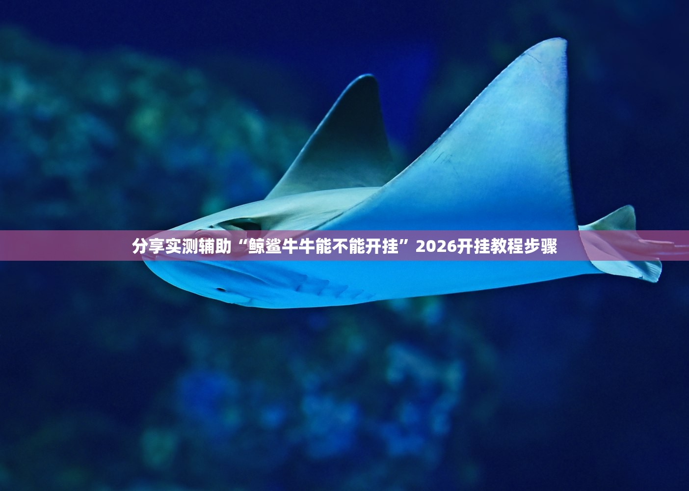 分享实测辅助“鲸鲨牛牛能不能开挂”2026开挂教程步骤