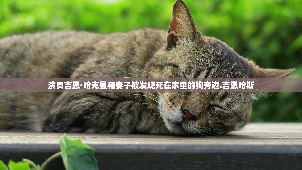 演员吉恩·哈克曼和妻子被发现死在家里的狗旁边.吉恩哈斯