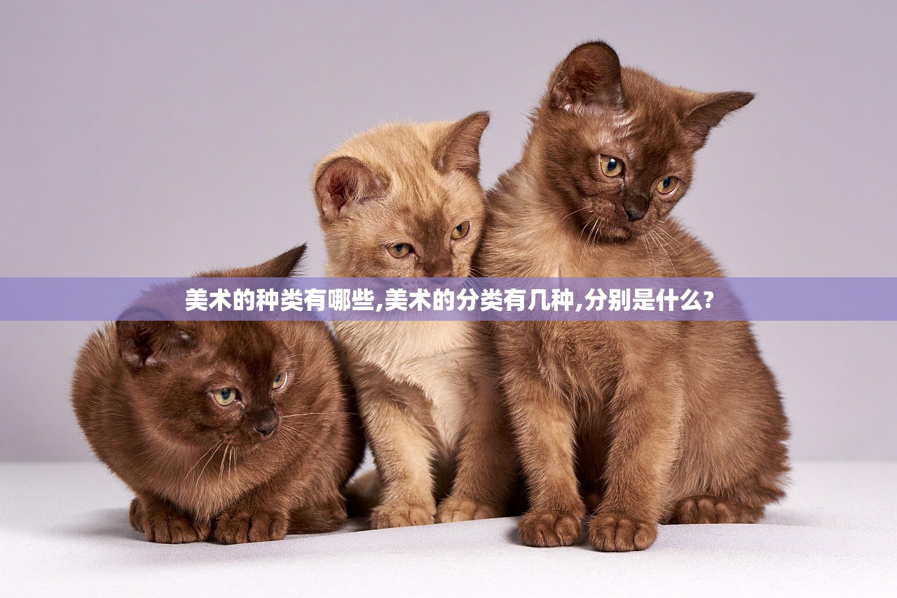 美术的种类有哪些,美术的分类有几种,分别是什么? 美术的种类有哪些,美术的分类有几种,分别是什么?
