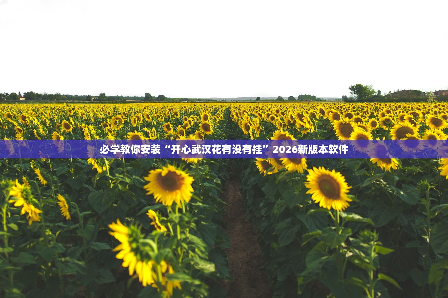 必学教你安装“开心武汉花有没有挂	”2026新版本软件