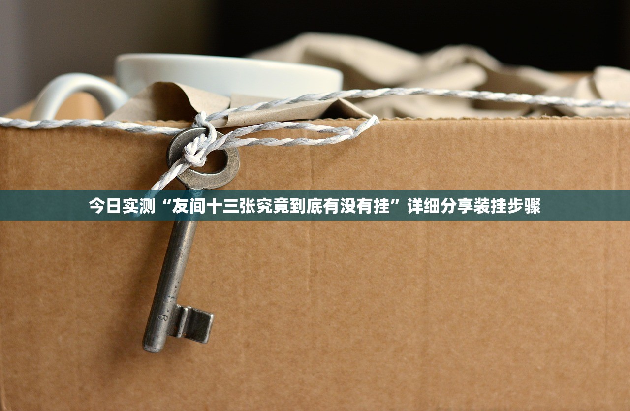 今日实测“友间十三张究竟到底有没有挂”详细分享装挂步骤