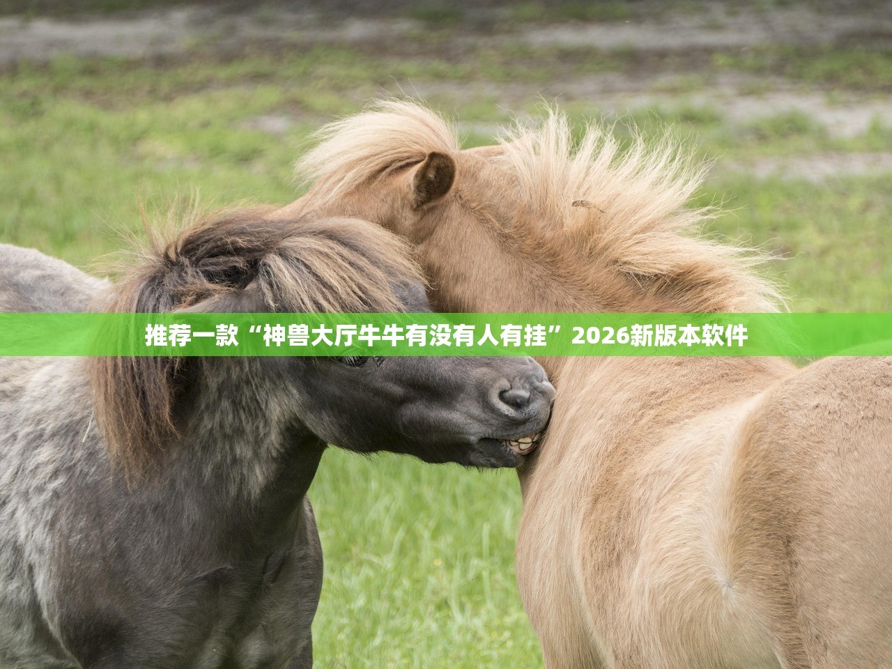 推荐一款“神兽大厅牛牛有没有人有挂”2026新版本软件