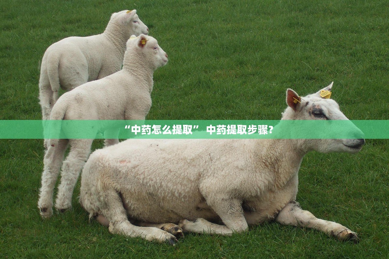“中药怎么提取” 中药提取步骤？