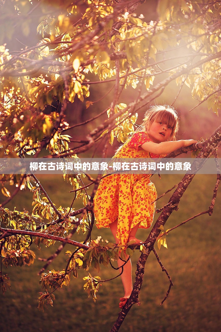 柳在古诗词中的意象-柳在古诗词中的意象 柳在古诗词中的意象-柳在古诗词中的意象