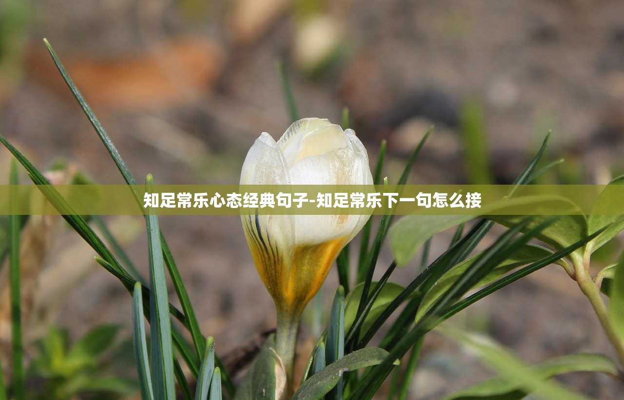 知足常乐心态经典句子-知足常乐下一句怎么接 知足常乐心态经典句子-知足常乐下一句怎么接