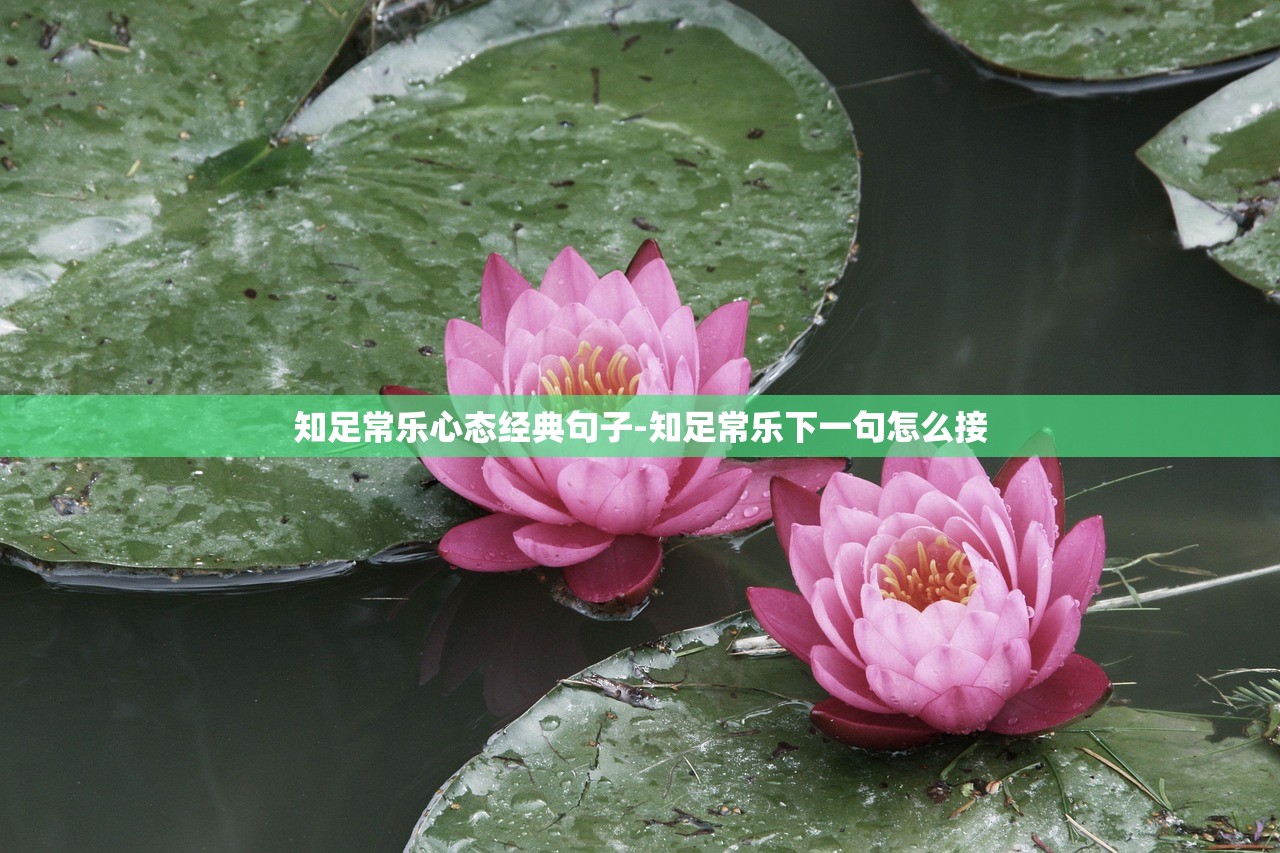 知足常乐心态经典句子-知足常乐下一句怎么接 知足常乐心态经典句子-知足常乐下一句怎么接
