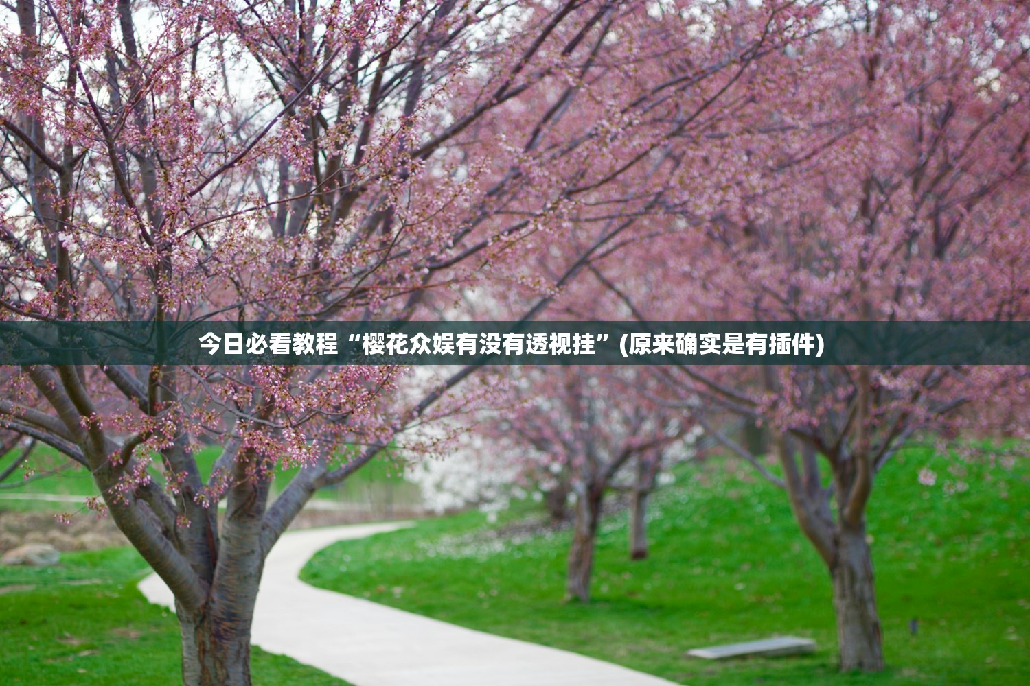 今日必看教程“樱花众娱有没有透视挂”(原来确实是有插件) 