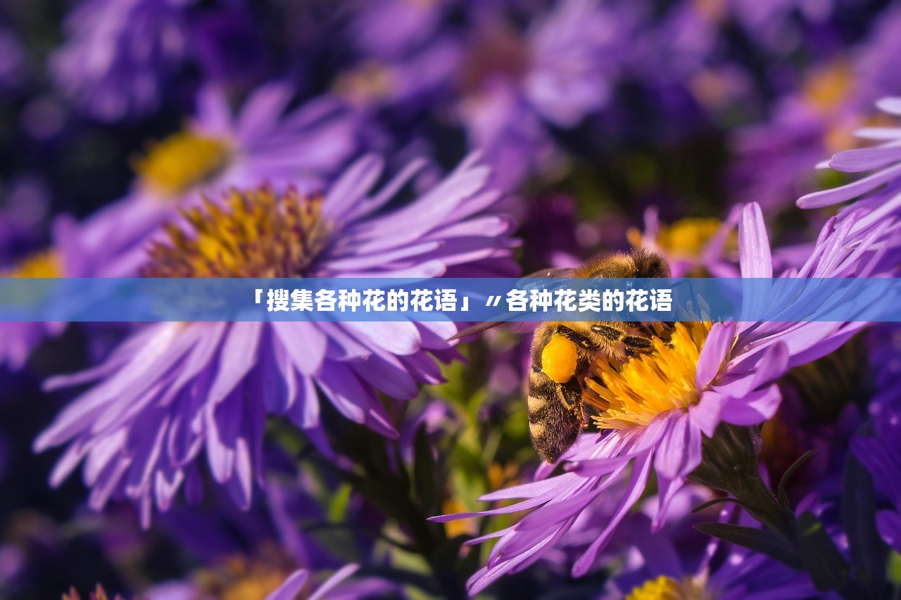 「搜集各种花的花语」〃各种花类的花语 「搜集各种花的花语」〃各种花类的花语