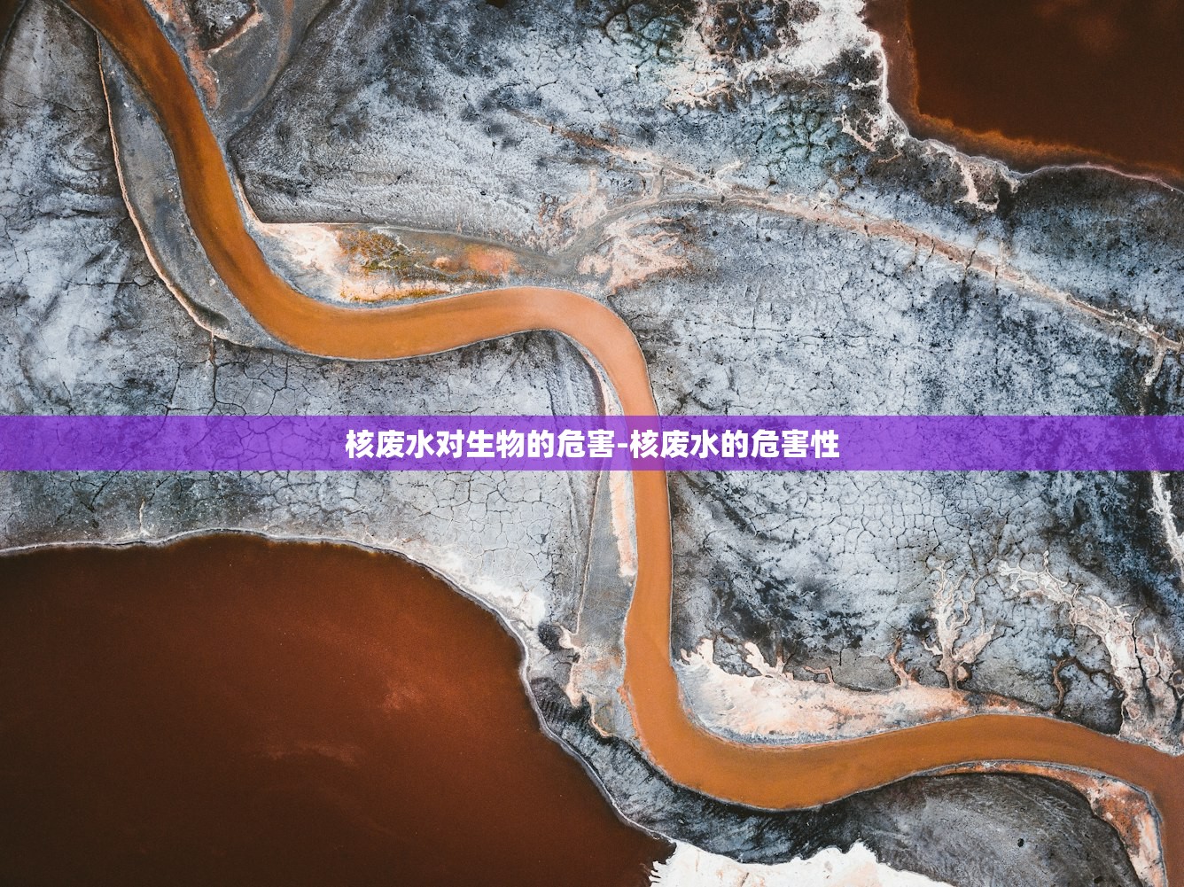 核废水对生物的危害-核废水的危害性 核废水对生物的危害-核废水的危害性