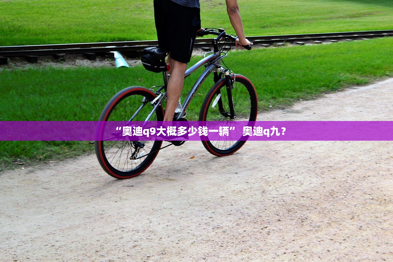“奥迪q9大概多少钱一辆” 奥迪q九？