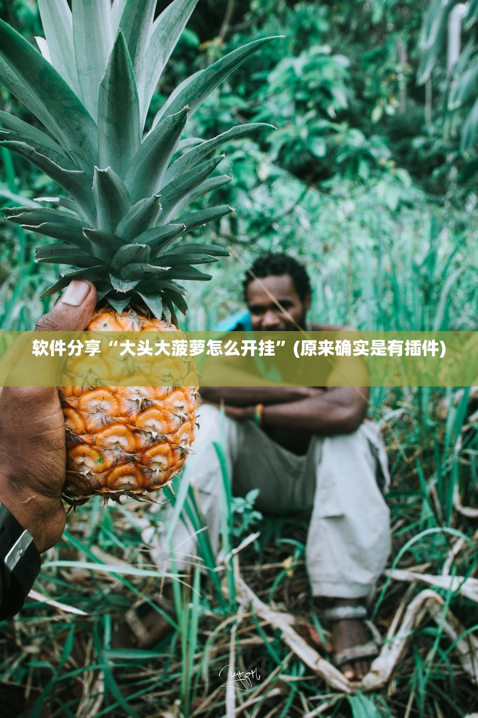 软件分享“大头大菠萝怎么开挂	”(原来确实是有插件) 