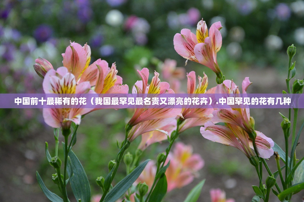 中国前十最稀有的花(我国最罕见最名贵又漂亮的花卉).中国罕见的花有几种 中国前十最稀有的花(我国最罕见最名贵又漂亮的花卉).中国罕见的花有几种