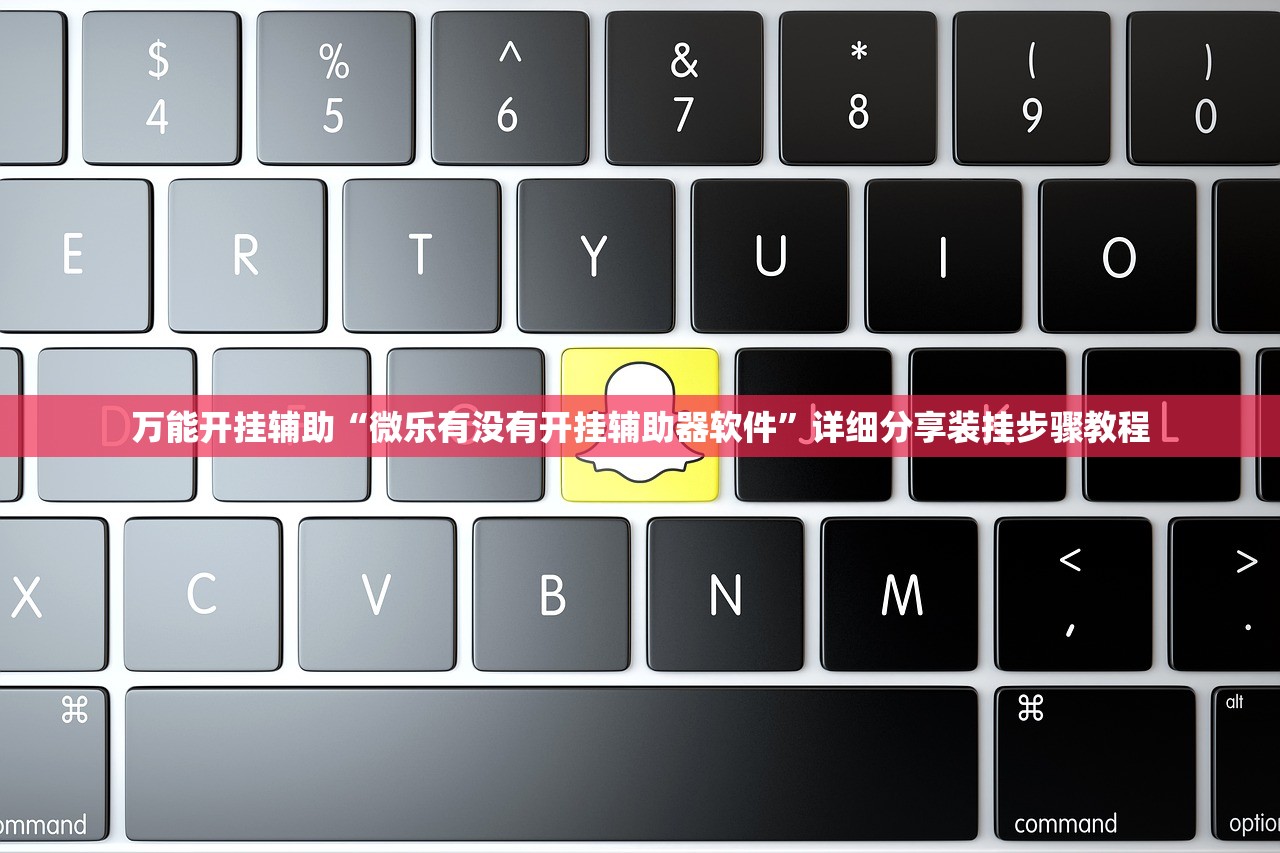 万能开挂辅助“微乐有没有开挂辅助器软件”详细分享装挂步骤教程