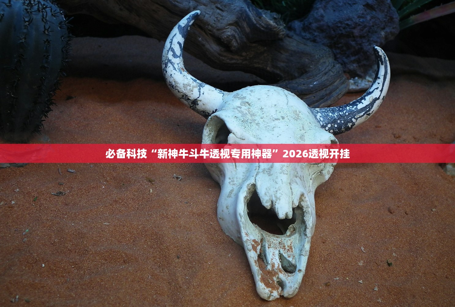 必备科技“新神牛斗牛透视专用神器”2026透视开挂