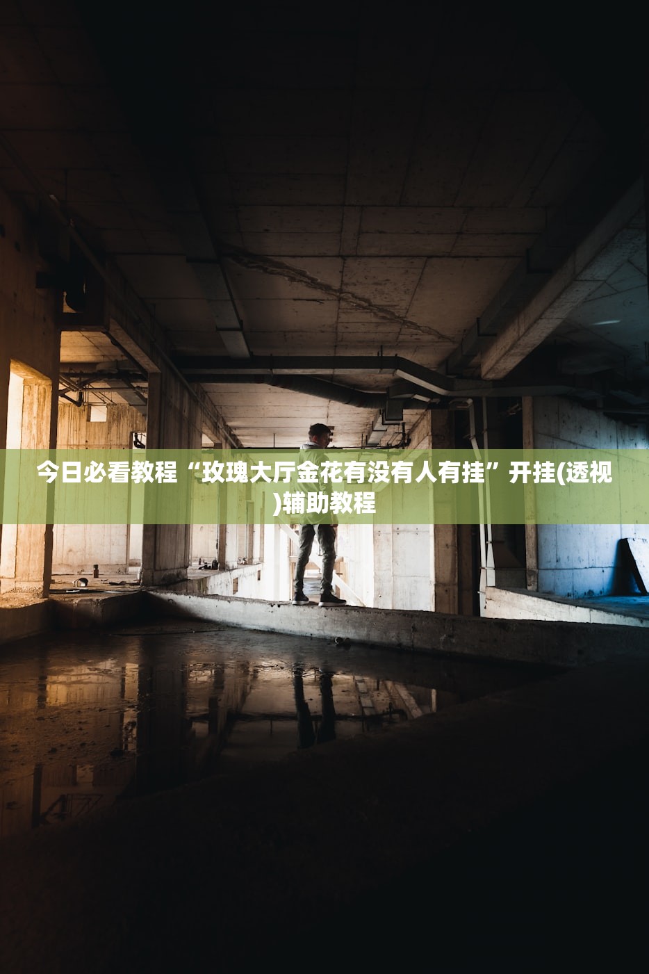 今日必看教程“玫瑰大厅金花有没有人有挂”开挂(透视)辅助教程
