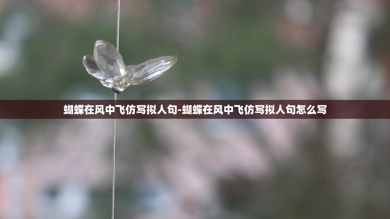 蝴蝶在风中飞仿写拟人句-蝴蝶在风中飞仿写拟人句怎么写 蝴蝶在风中飞仿写拟人句-蝴蝶在风中飞仿写拟人句怎么写