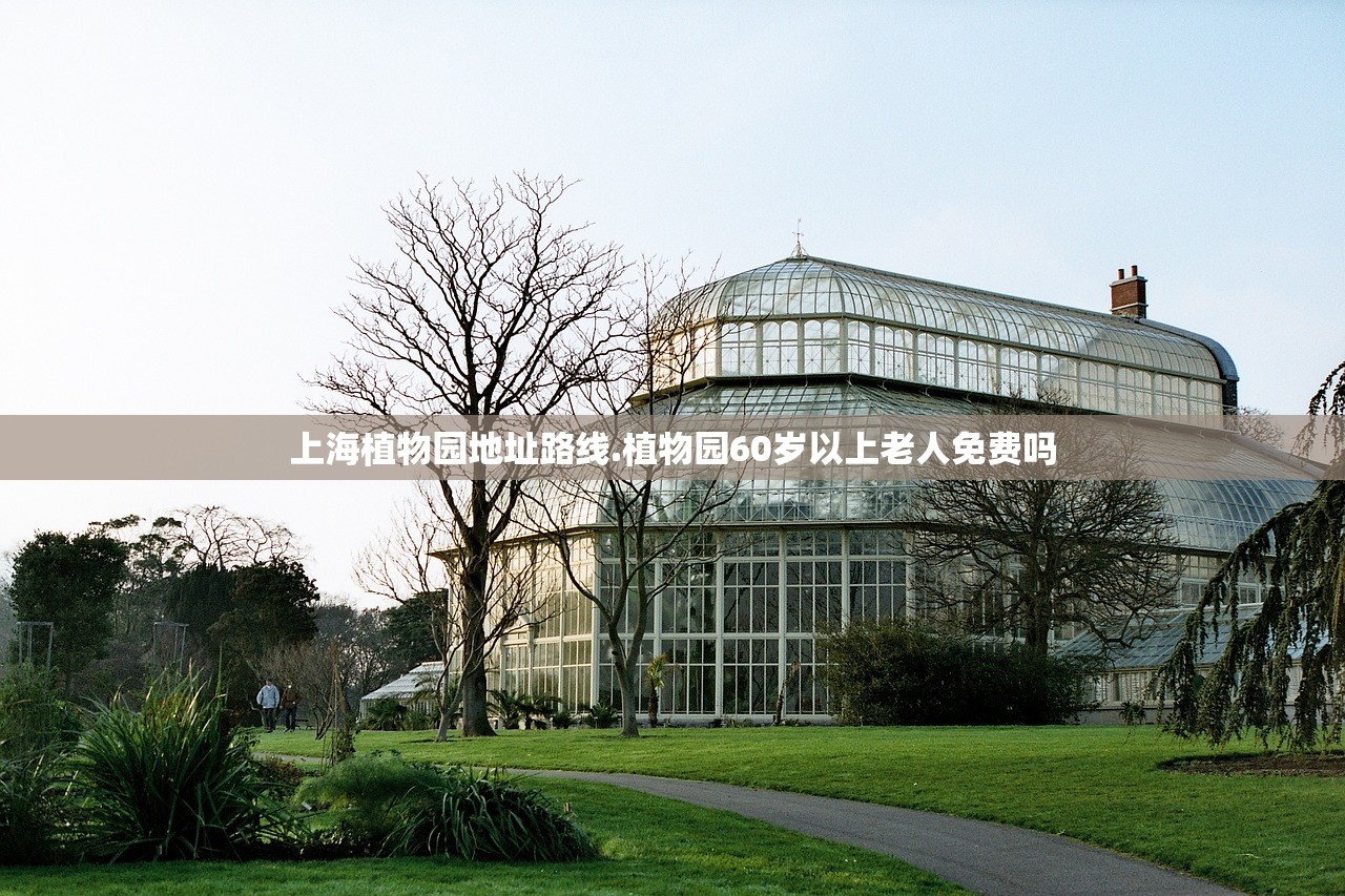 上海植物园地址路线.植物园60岁以上老人免费吗 上海植物园地址路线.植物园60岁以上老人免费吗