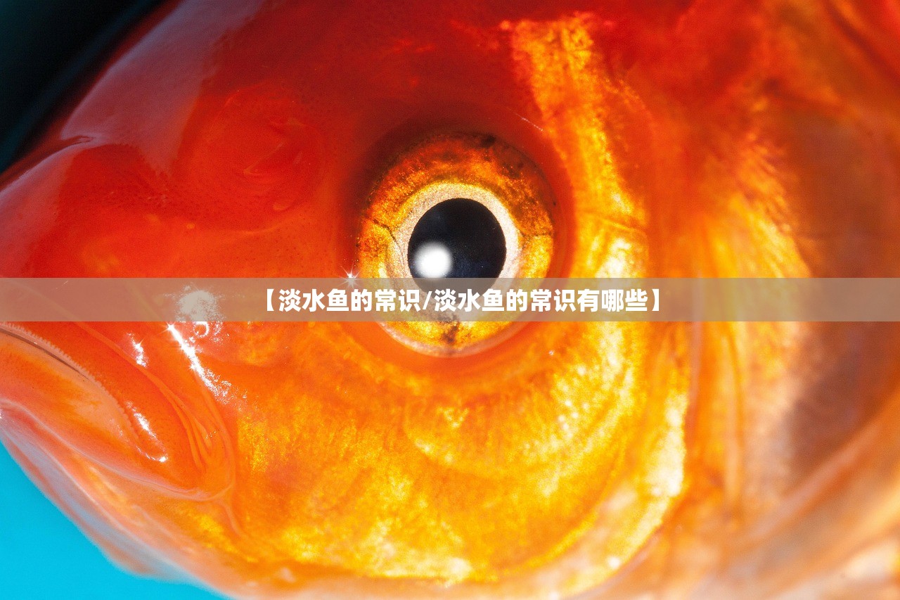 【淡水鱼的常识/淡水鱼的常识有哪些】