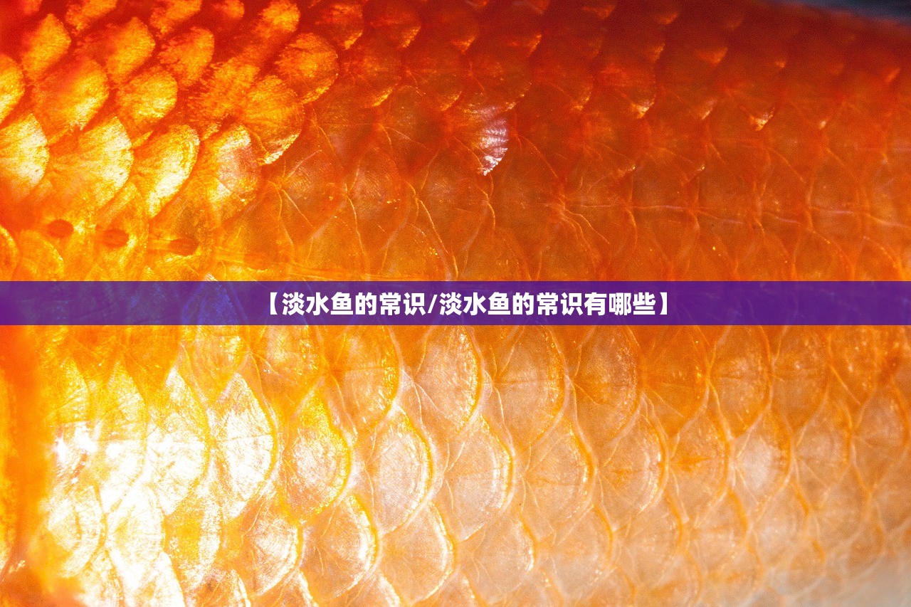 【淡水鱼的常识/淡水鱼的常识有哪些】