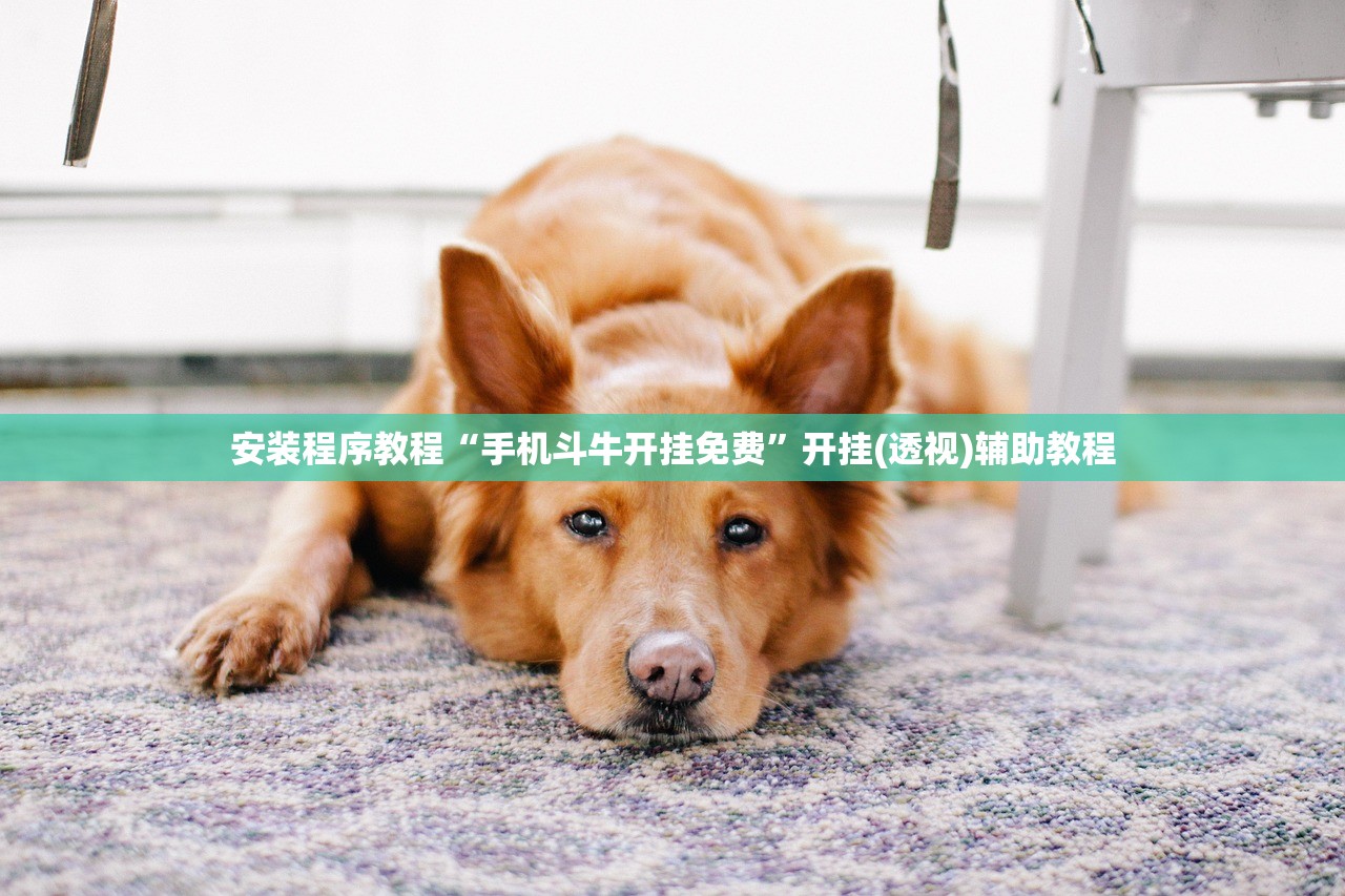 安装程序教程“手机斗牛开挂免费”开挂(透视)辅助教程