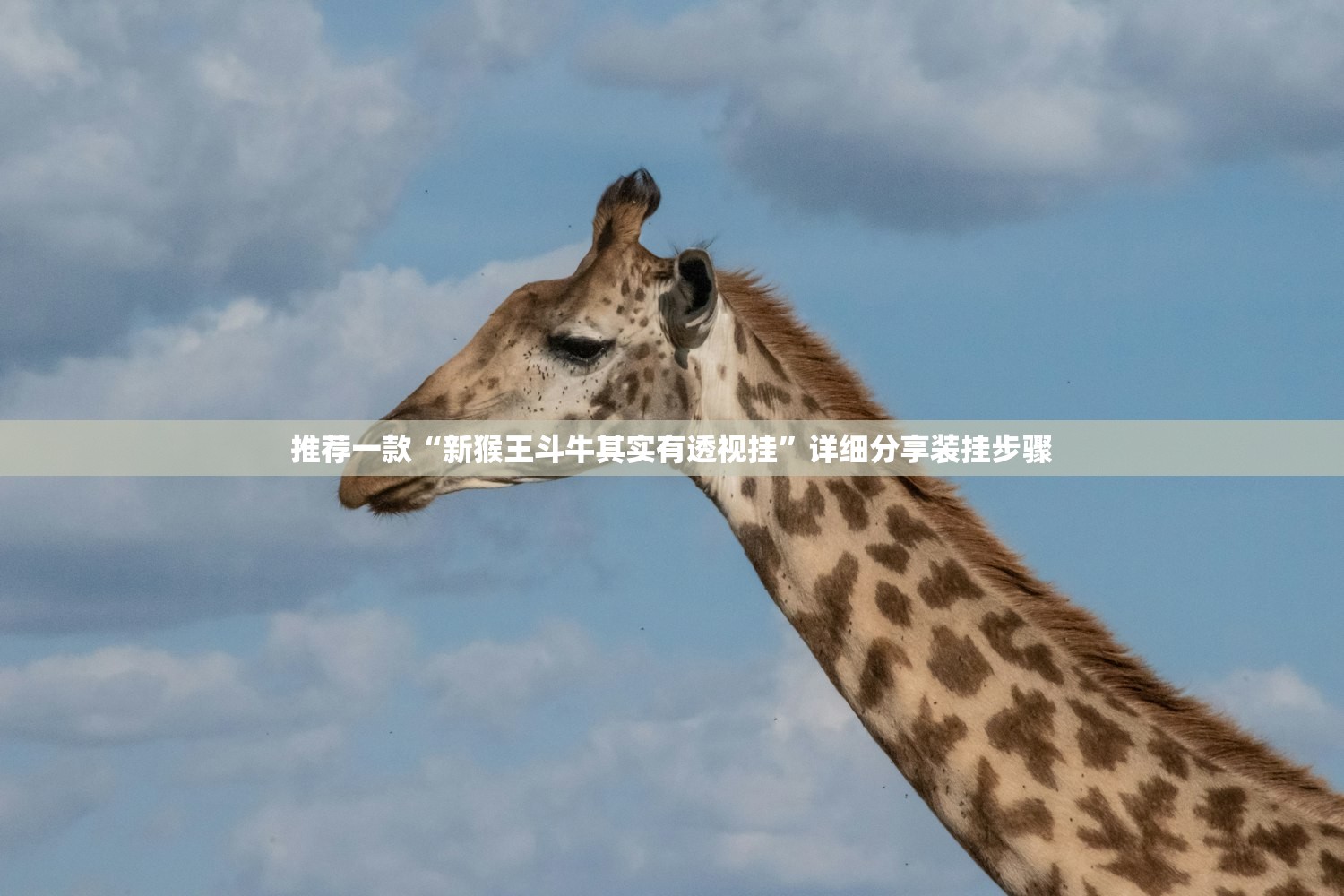 推荐一款“新猴王斗牛其实有透视挂	”详细分享装挂步骤
