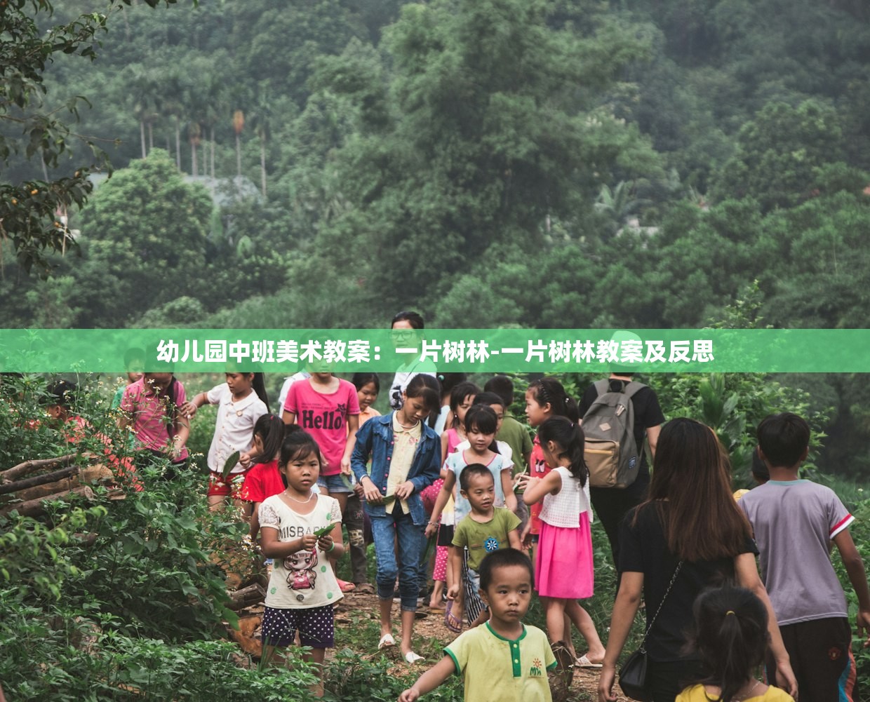 幼儿园中班美术教案:一片树林-一片树林教案及反思 幼儿园中班美术教案:一片树林-一片树林教案及反思