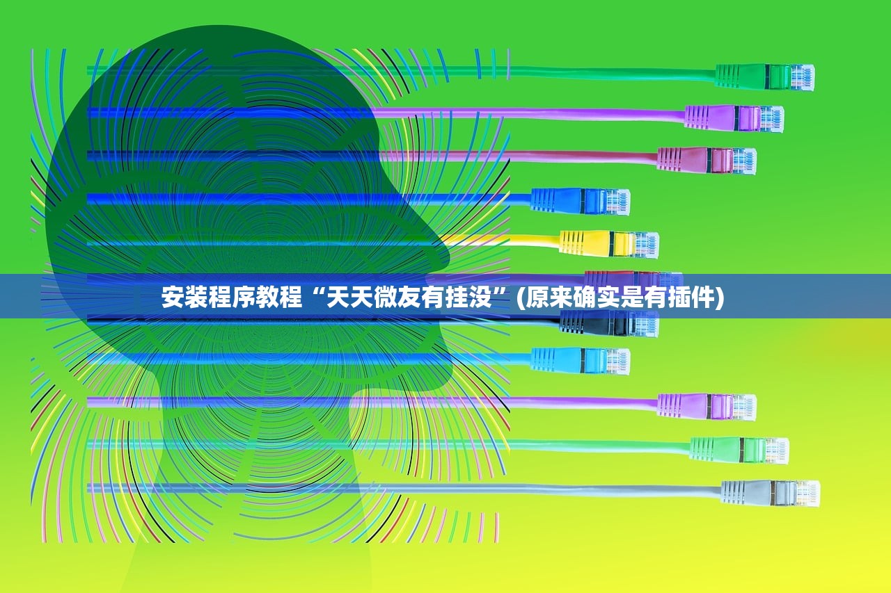 安装程序教程“天天微友有挂没”(原来确实是有插件) 